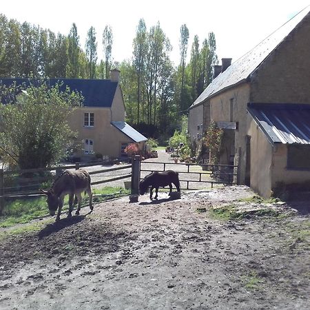 Вілла Gite Du Jardin Des Sources Vaux-sur-Seulles Екстер'єр фото